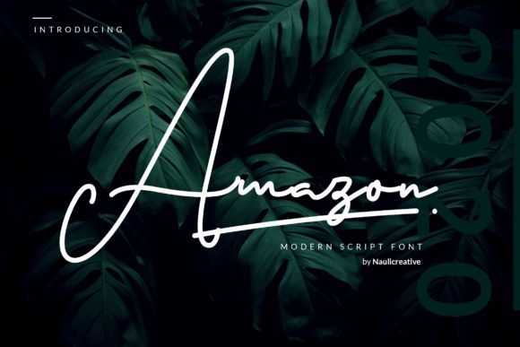 Amazon Font Review: Elegant Script for Branding