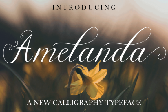 Amelanda: A Fluid Script Typeface for Editorial Design