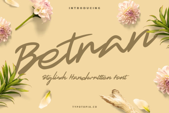Betran Font: Elevating Web Design with Handwritten Style