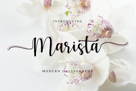 Marista Font: Elevate Your Brand with Elegant Script