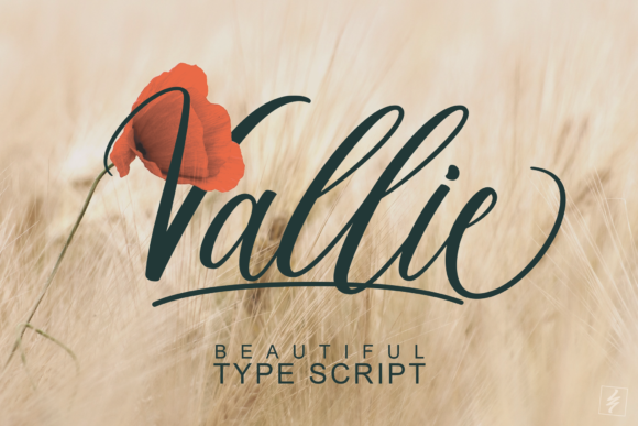 Valiie: The Handwritten Font That Elevates Campaigns